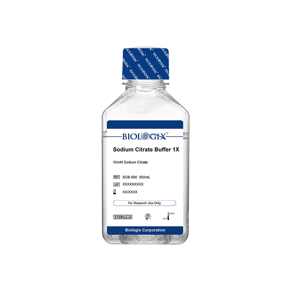 巴罗克-SCB缓冲液（1×）,PH6，500ml/瓶，10瓶/箱