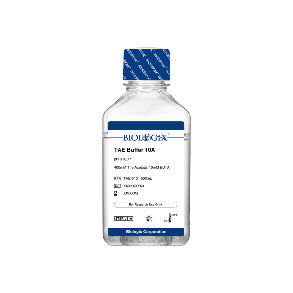 巴羅克-巴羅克-TAE緩沖液（10X）,PH8，500ml/瓶，10瓶/箱