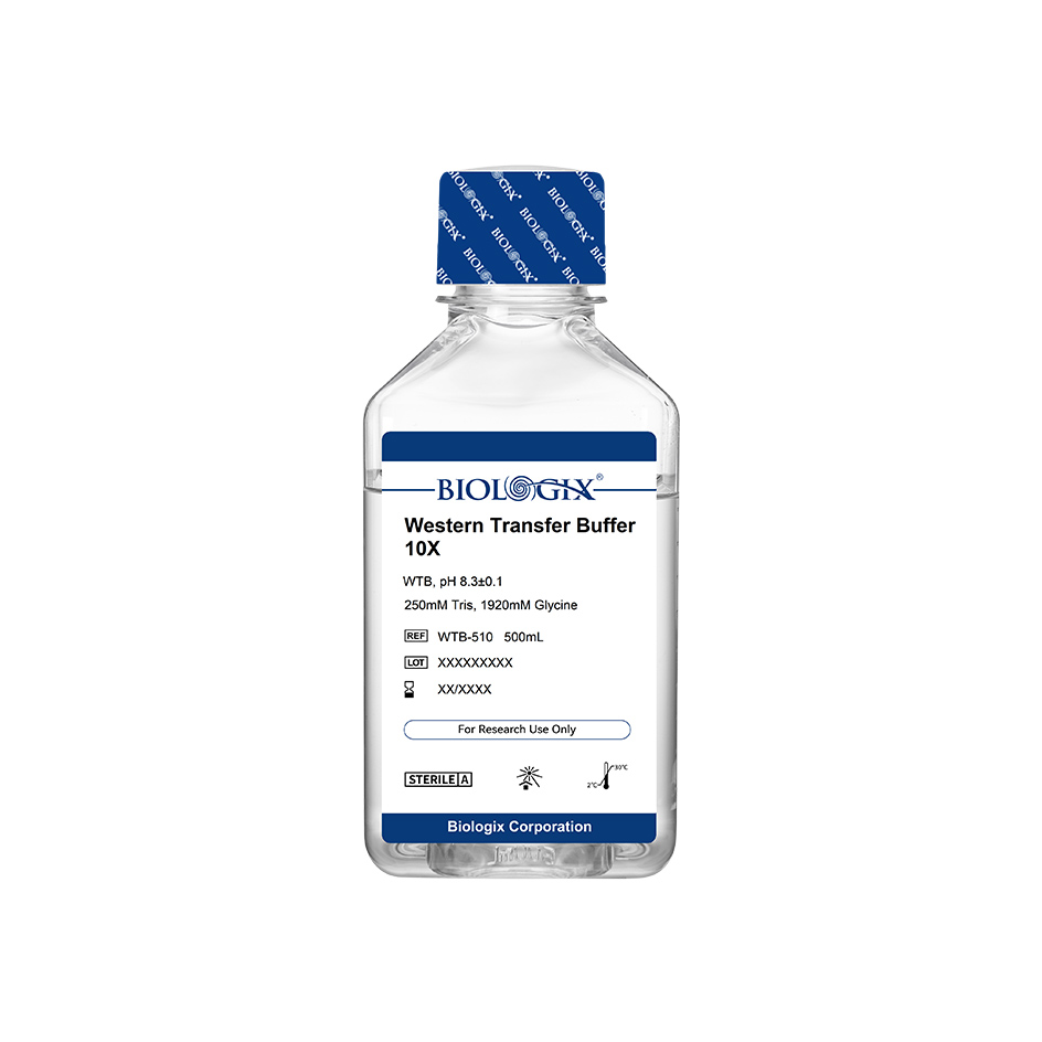 巴罗克-WTB转膜缓冲液（10×）,PH8.3，500ml/瓶，10瓶/箱
